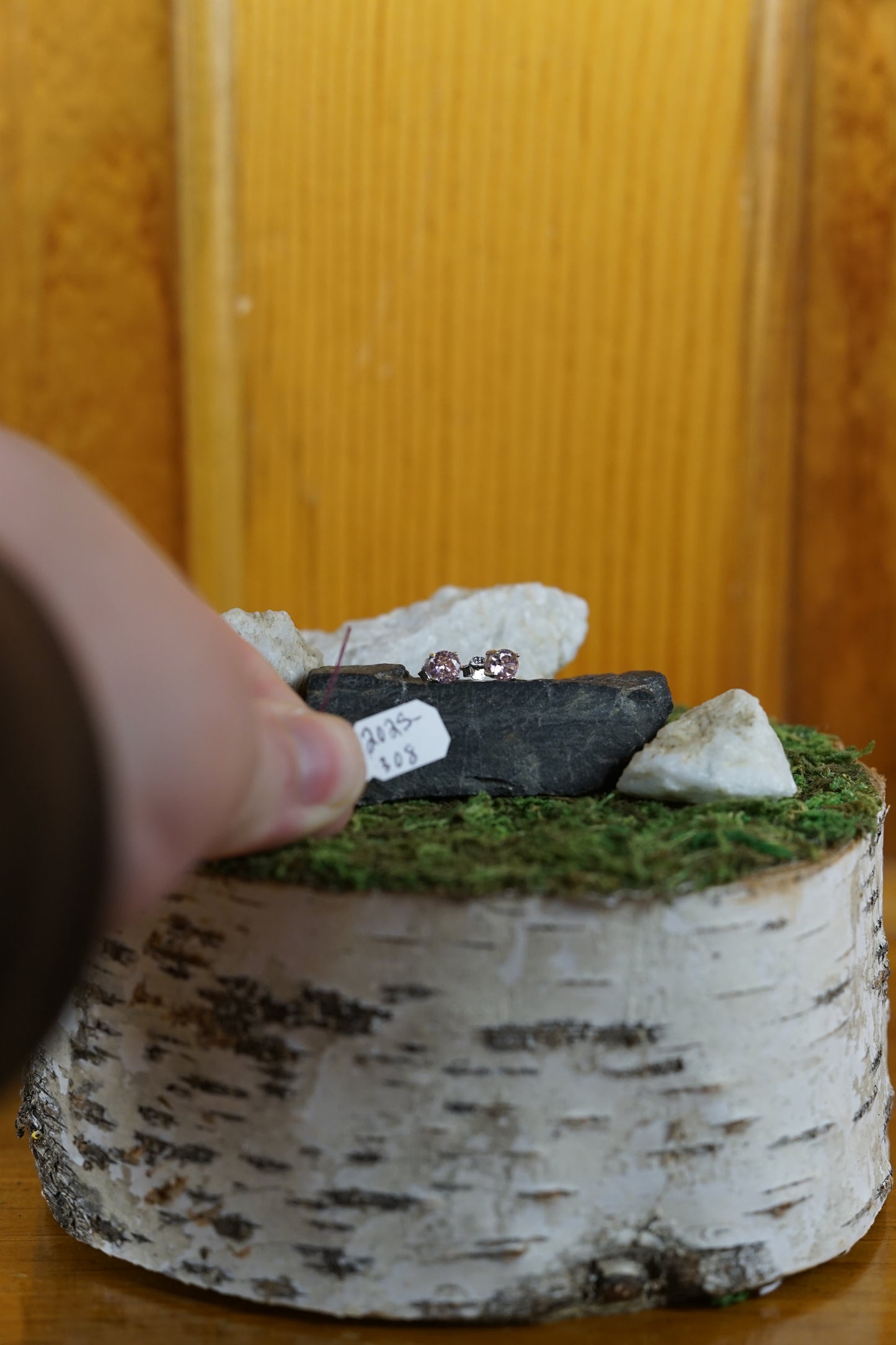 Moissanite Stud Earrings in Varying Colors